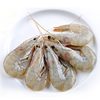 chinese white shrimp