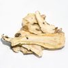 chinese angelica root
