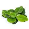 kaffir lime leaf